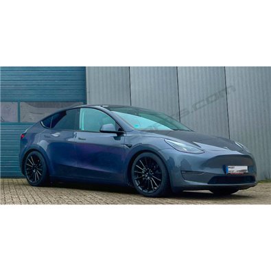 SUSP. ROSCADA V-MAXX SPORT TESLA 