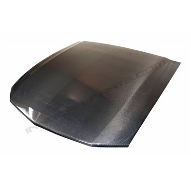 CAPÓ CARBONO FORD MUSTANG (05-07)