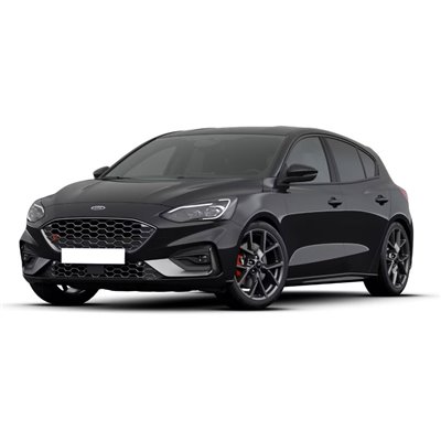FOCUS IV