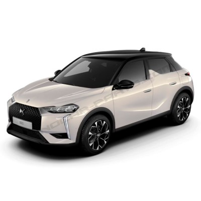 DS 3