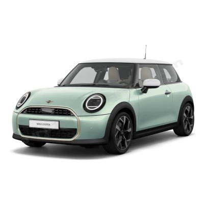 MINI (2024)