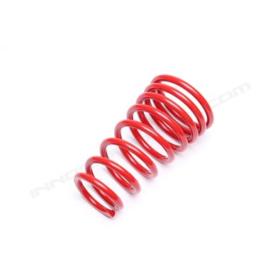 Muelle trasero TA Technix Redline Fiat Punto (176), Fiat Punto II (188) y Fiat Coupe (175FA)