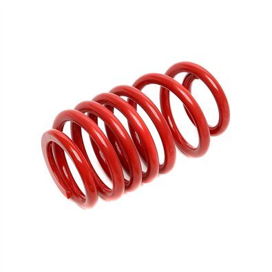 Muelle delantero TA Technix Audi A4 (B8), A5 (B8), A6 (4G) y A7 Sportback (4GA)